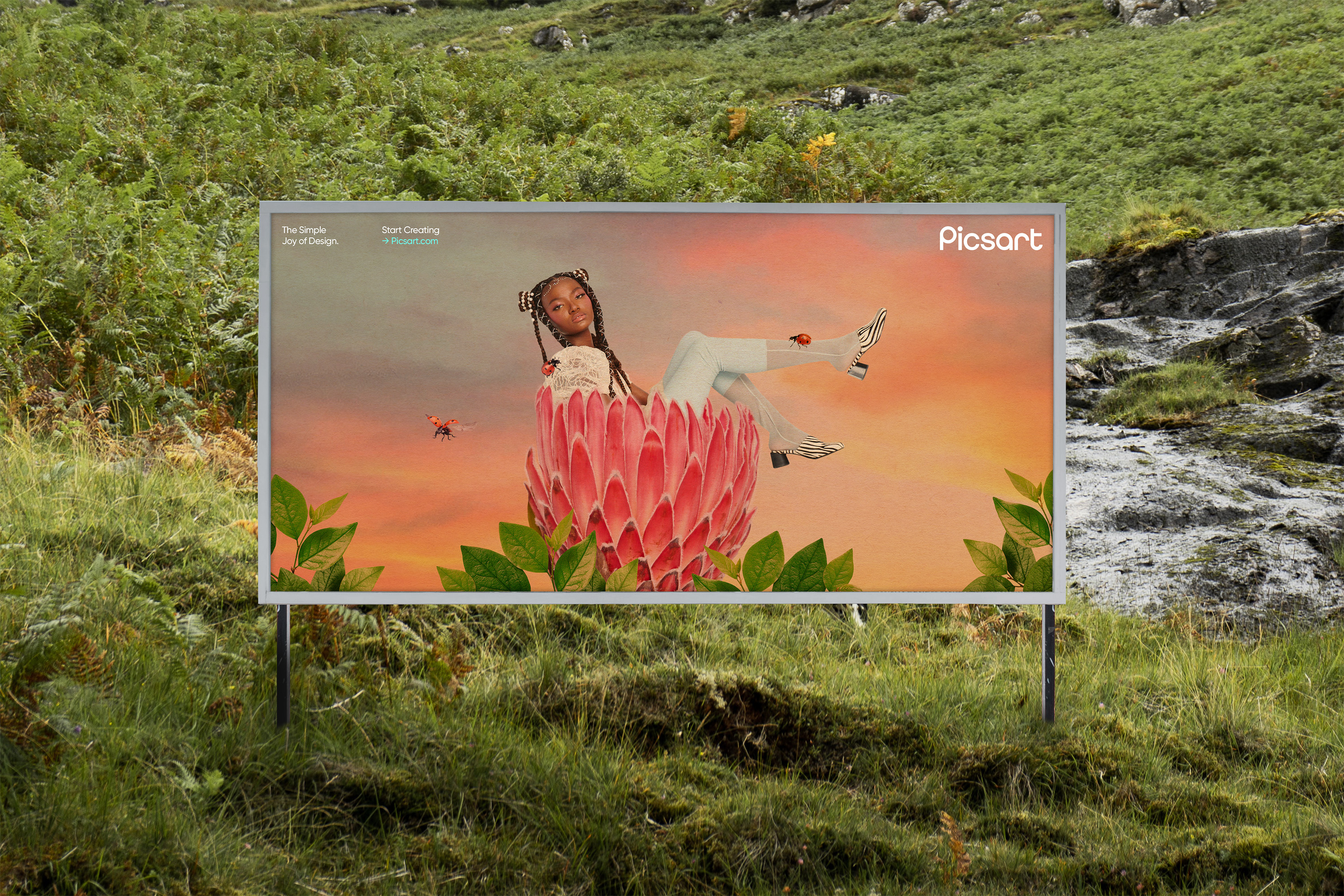 Picsart, The New Company